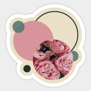 Pink Roses with Geometric Shapes Sticker